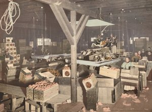 Sinaasappels Verpakken in Redlands, gepubliceerd 1899