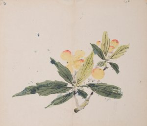 Pagina uit Shi Zhu Zhai
