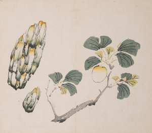 Pagina uit Shi Zhu Zhai