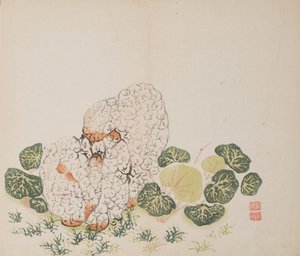 Pagina uit Shi Zhu Zhai