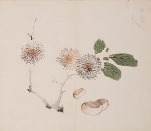 Pagina uit Shi Zhu Zhai