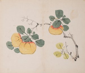 Pagina uit Shi Zhu Zhai