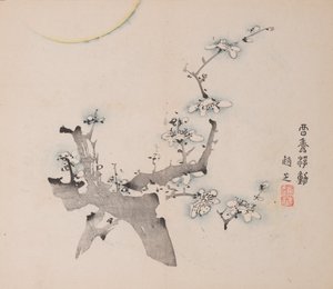 Pagina uit Shi Zhu Zhai