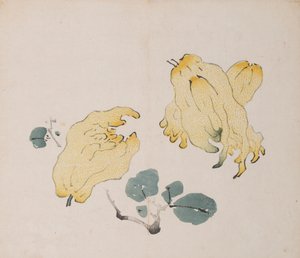 Pagina uit Shi Zhu Zhai