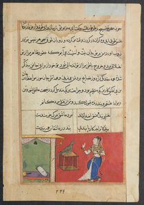 Pagina uit Verhalen van een papegaai Tuti-nama: Zevenenveertigste nacht: De papegaai spreekt Khujasta toe..., ca. 156 door Unbekannt