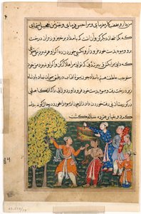 Pagina uit Verhalen van een Papegaai Tuti-nama: Negende nacht: De koning plukt fruit van de Boom..., ca. 156 door Unbekannt