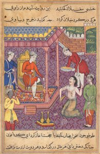 Pagina uit Verhalen van een papegaai Tuti-nama: Vijfendertigste nacht: De tovenaar vermomd..., ca. 1560 door Unbekannt