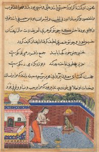 Pagina uit Verhalen van een Papegaai Tuti-nama: Eenendertigste nacht: De papegaai..., 1558-1560 door Unbekannt