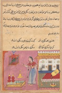 Pagina uit Verhalen van een papegaai Tuti-nama: Twintigste nacht: De papegaai spreekt..., c. 1560 door Unbekannt