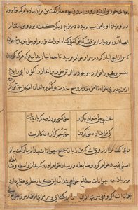 Pagina uit Verhalen van een Papegaai Tuti-nama: tekstpagina, ca. 1560 door Unbekannt