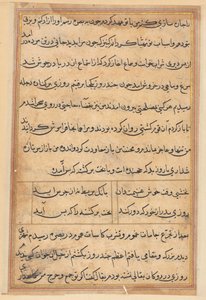 Pagina uit Verhalen van een papegaai Tuti-nama: tekstpagina, ca. 1560 door Unbekannt