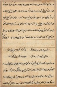 Pagina uit Verhalen van een papegaai Tuti-nama: tekstpagina, ca. 1560 door Unbekannt