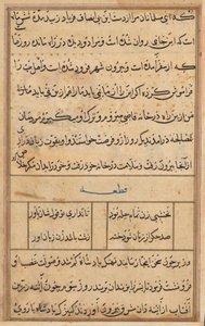 Pagina uit Verhalen van een Papegaai Tuti-nama: tekstpagina, ca. 1560 door Unbekannt