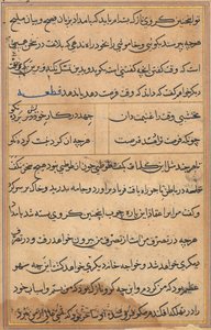 Pagina uit Verhalen van een papegaai Tuti-nama: tekstpagina, ca. 1560 door Unbekannt