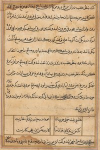 Pagina uit Verhalen van een Papegaai Tuti-nama: tekstpagina, ca. 1560 door Unbekannt