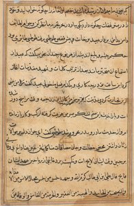 Pagina uit Verhalen van een Papegaai Tuti-nama: tekstpagina, c. 1560 door Unbekannt
