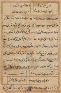 Pagina uit Verhalen van een papegaai Tuti-nama: tekstpagina, c. 1560 door Unbekannt