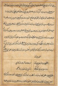 Pagina uit Verhalen van een papegaai Tuti-nama: tekstpagina, c. 1560 door Unbekannt