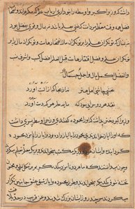 Pagina uit Verhalen van een Papegaai Tuti-nama: tekstpagina, ca. 1560 door Unbekannt
