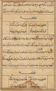 Pagina uit Verhalen van een Papegaai Tuti-nama: tekstpagina, c. 1560 door Unbekannt