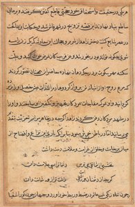 Pagina uit Verhalen van een Papegaai Tuti-nama: tekstpagina, c. 1560 door Unbekannt