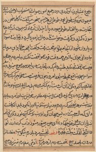 Pagina uit Verhalen van een papegaai Tuti-nama: tekstpagina, ca. 1560 door Unbekannt