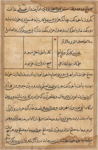 Pagina uit Verhalen van een Papegaai Tuti-nama: tekstpagina, ca. 1560 door Unbekannt