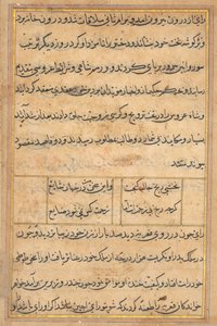 Pagina uit Verhalen van een Papegaai Tuti-nama: tekstpagina, ca. 1560 door Unbekannt
