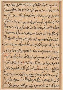 Pagina uit Verhalen van een papegaai Tuti-nama: tekstpagina, c. 1560 door Unbekannt