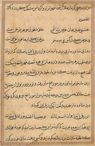 Pagina uit Verhalen van een Papegaai Tuti-nama: tekstpagina, c. 1560 door Unbekannt