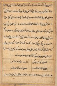 Pagina uit Verhalen van een Papegaai Tuti-nama: tekstpagina, ca. 1560 door Unbekannt