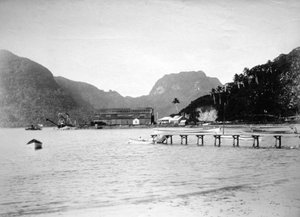 Haven van Pago Pago, op het eiland Tutuila, Amerikaans Samoa, 1889 door Unbekannt