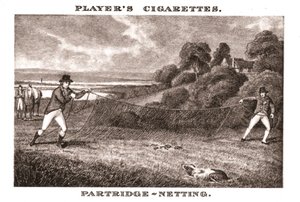 Patrijzen-vangen