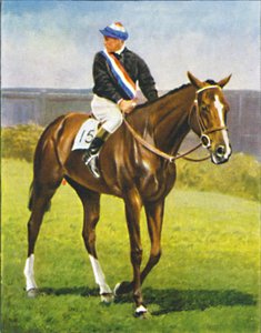 Pad van Vrede, Jockey: M. Beary door Unbekannt