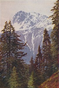 Piek in de Himalaya, 1924