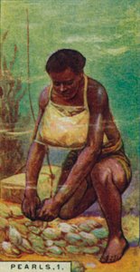 Parels 1. Inheemse Duiker aan het Werk, Ceylon, 1928
