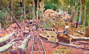 Doordringen in het Amazonewoud - Madeira-Mamoré Spoorweg, 1914 door Unbekannt