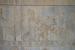 Persepolis, Iran door Unbekannt