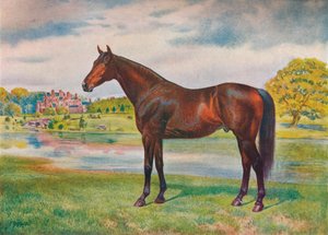 Kaki, ca. 1905-1910 door Unbekannt