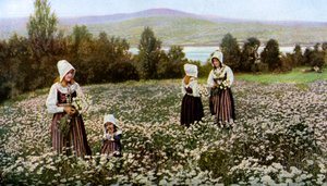 Bloemen plukken in een weide bij Leksand, Zweden, ca. 1923