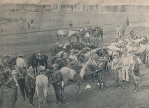 Plumers paard, ca. 1900 door Unbekannt