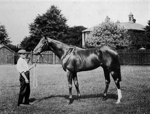 Poolster, 1911 door Unbekannt
