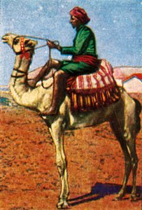Post bezorgd per kameel, Arabië, ca. 1928