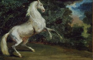 Dansend paard, 1808-1812