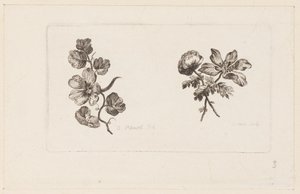 Print (Frankrijk)