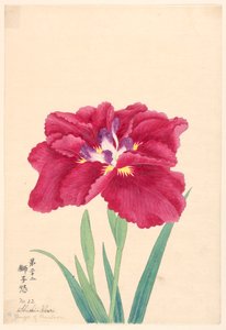Afdruk, Woede van de Leeuw (Shishi-Ikari), nr. 22 door Unbekannt