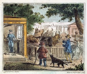 Openbare weegbrug gebruikt om vee te wegen op een markt, 1867 door Unbekannt