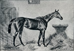 Koningin Bertha, 19e eeuw, 1911 door Unbekannt