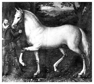 Paard van Koningin Elizabeth I, 1896 door Unbekannt