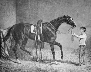 Koningin van Troeven, 1832-1843, 1911 door Unbekannt